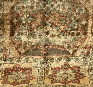 Pattern detail from the original photograph of Olive Vintage Moroccan Rug with Geometric Panels, 310 × 218 cm.